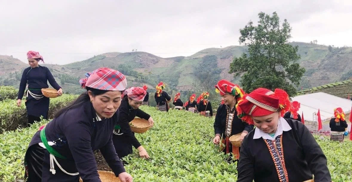 Phát triển sinh kế, nâng cao thu nhập đang tạo nên những chuyển biến tích cực trong đời sống đồng bào dân tộc thiểu số Lào Cai.