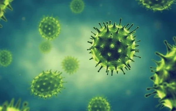 Theo Bộ Y tế, chưa ghi nhận sự thay đổi của độc lực virus cúm.