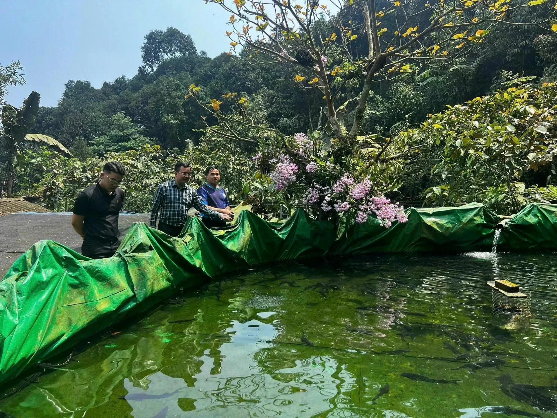 Phát triển sinh kế bền vững không chỉ giúp người dân thoát nghèo mà còn tạo nền tảng để chủ động sản xuất, nâng cao thu nhập và vươn lên bằng chính nội lực của mình.