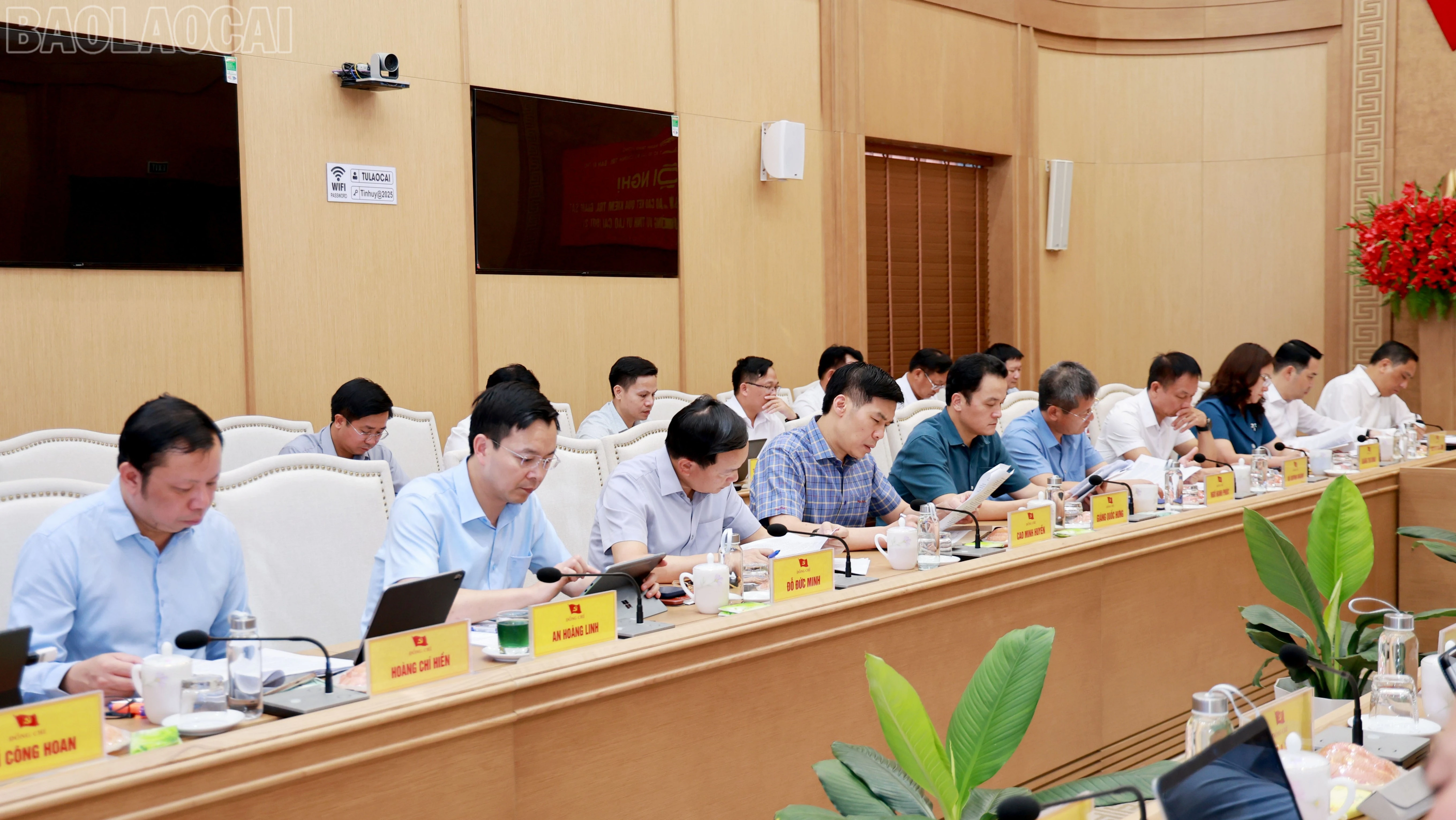 baolaocai-tl_tl-060a7224.jpg