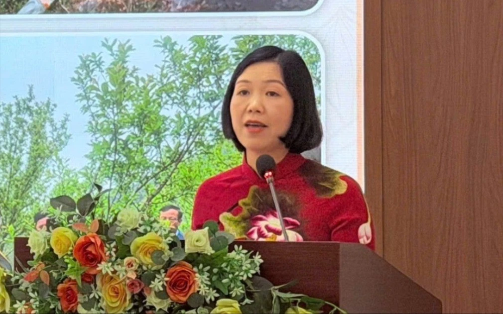 tham-luan-2-5931-9279.jpg