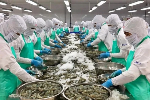 Doanh nghiệp một số ngành tại Việt Nam đã chủ động trong công tác phòng vệ thương mại.