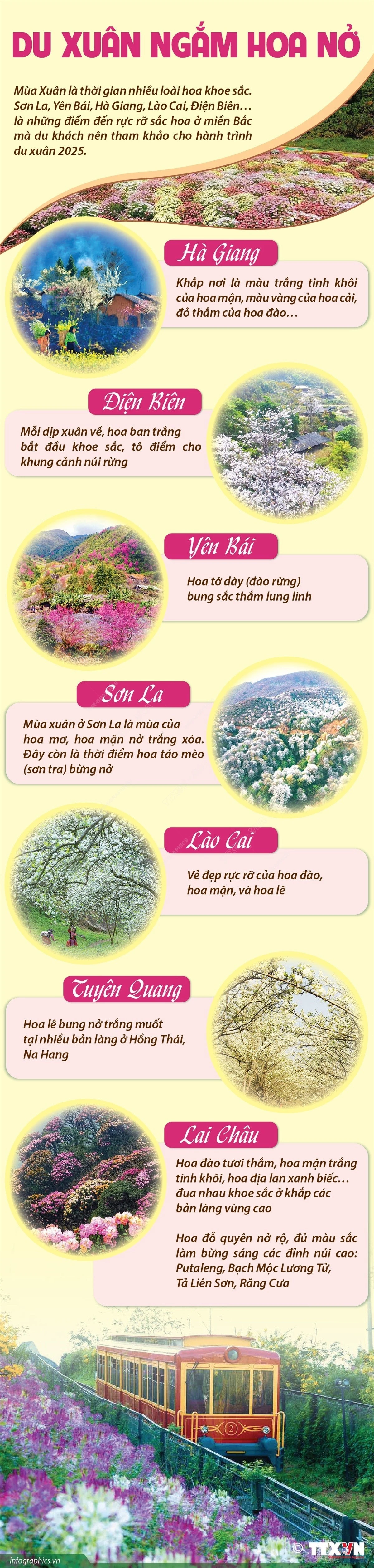du-xuan-ngam-hoa-no.jpg