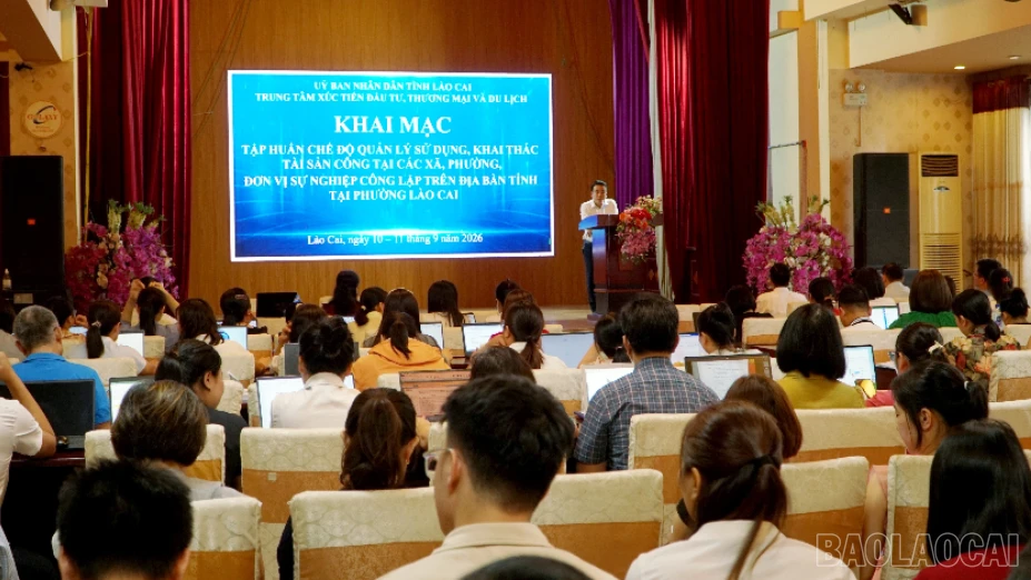 baolaocai-br-img-20260910-124401.png