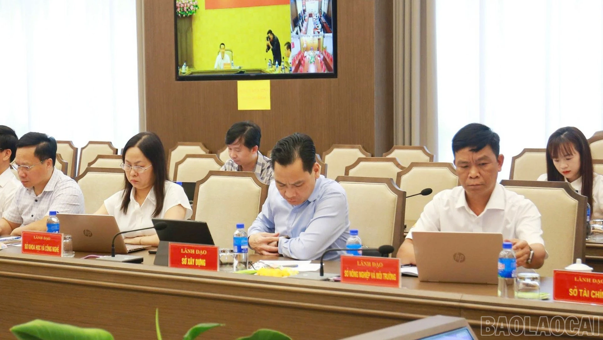 baolaocai-br-33.jpg