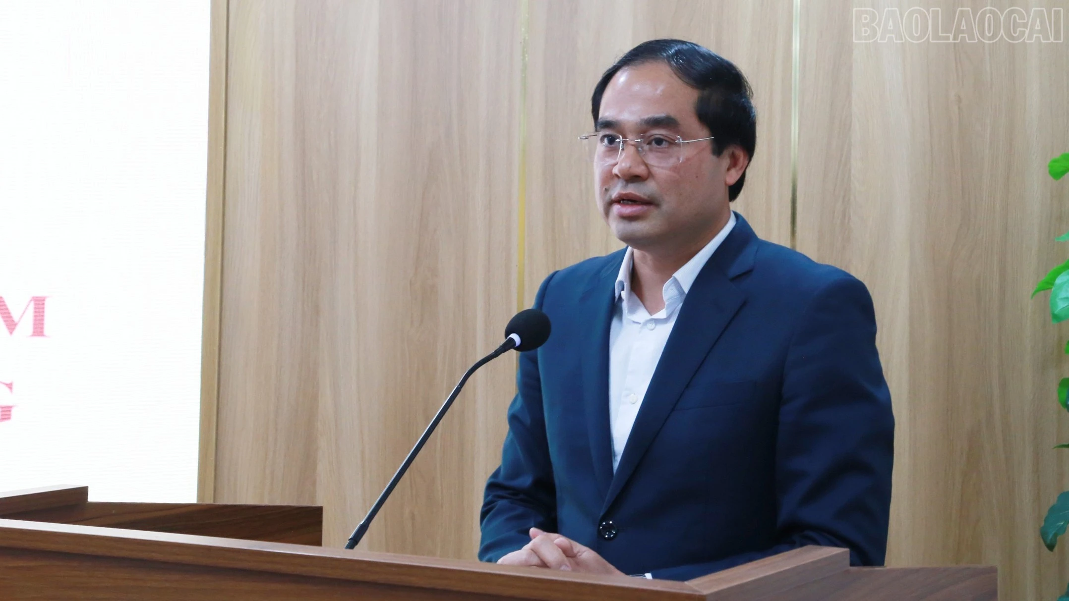 baolaocai-tr_img-0141.jpg