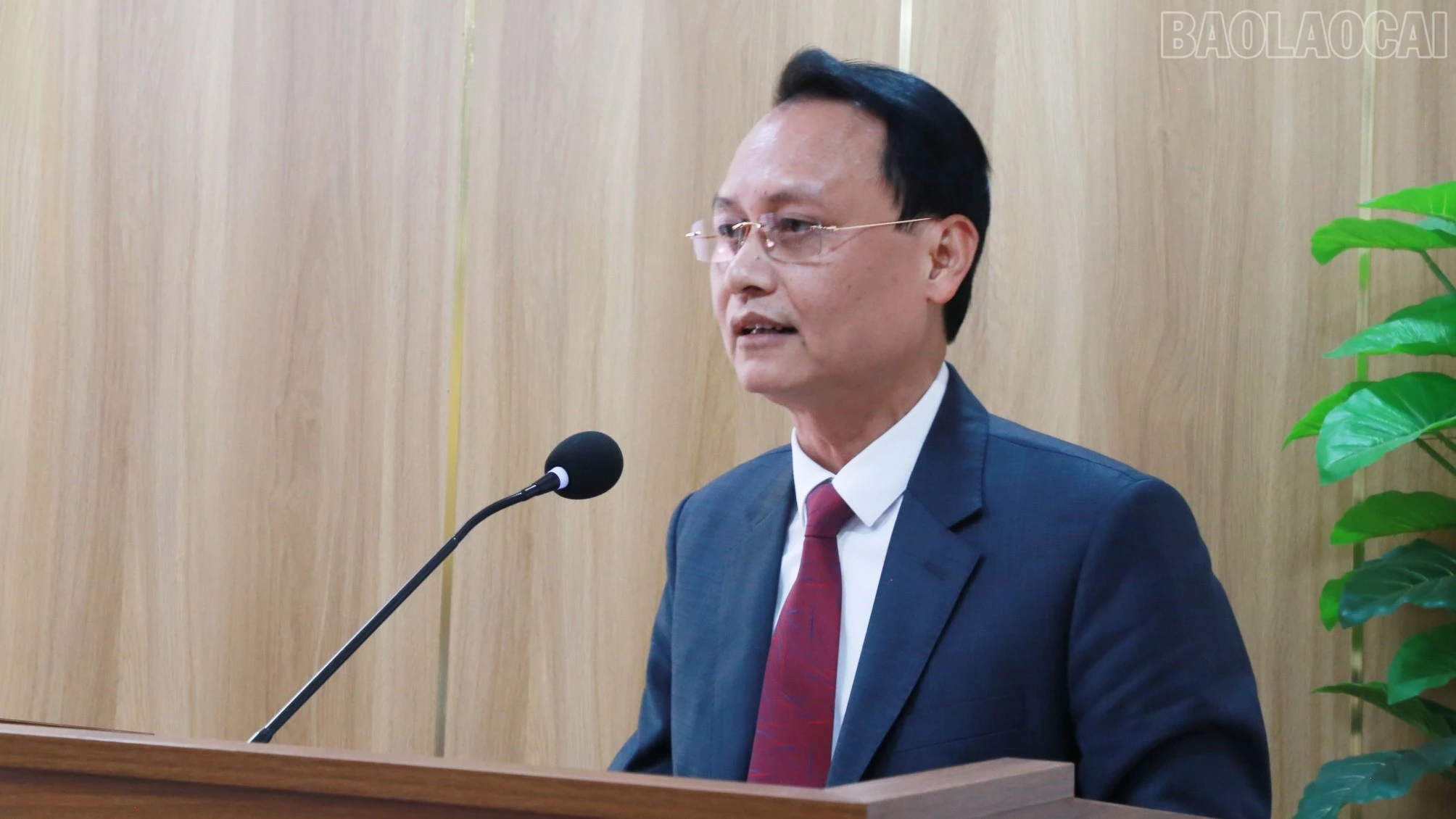 baolaocai-tr_img-0160.jpg