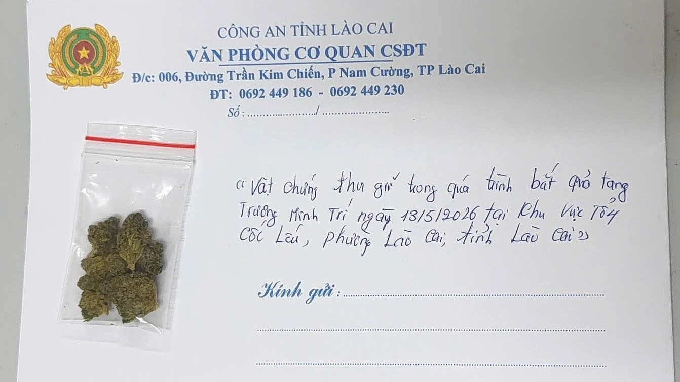 tang-vat-doi-tuong-tri-giao-nop.jpg