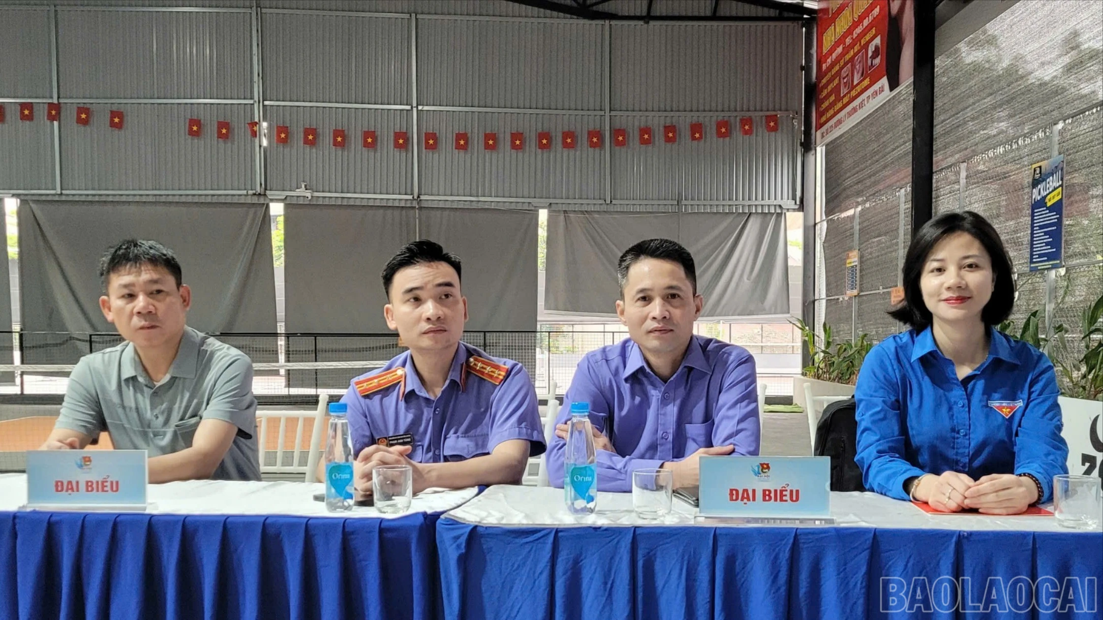 baolaocai-br-3204940216113964131.jpg