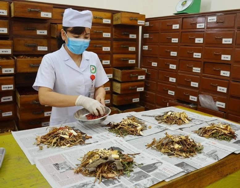Vị thuốc cổ truyền, dược liệu phải công bố tiêu chuẩn chất lượng trước khi lưu hành.