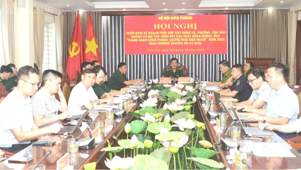 baolaocai-tl_360.jpg