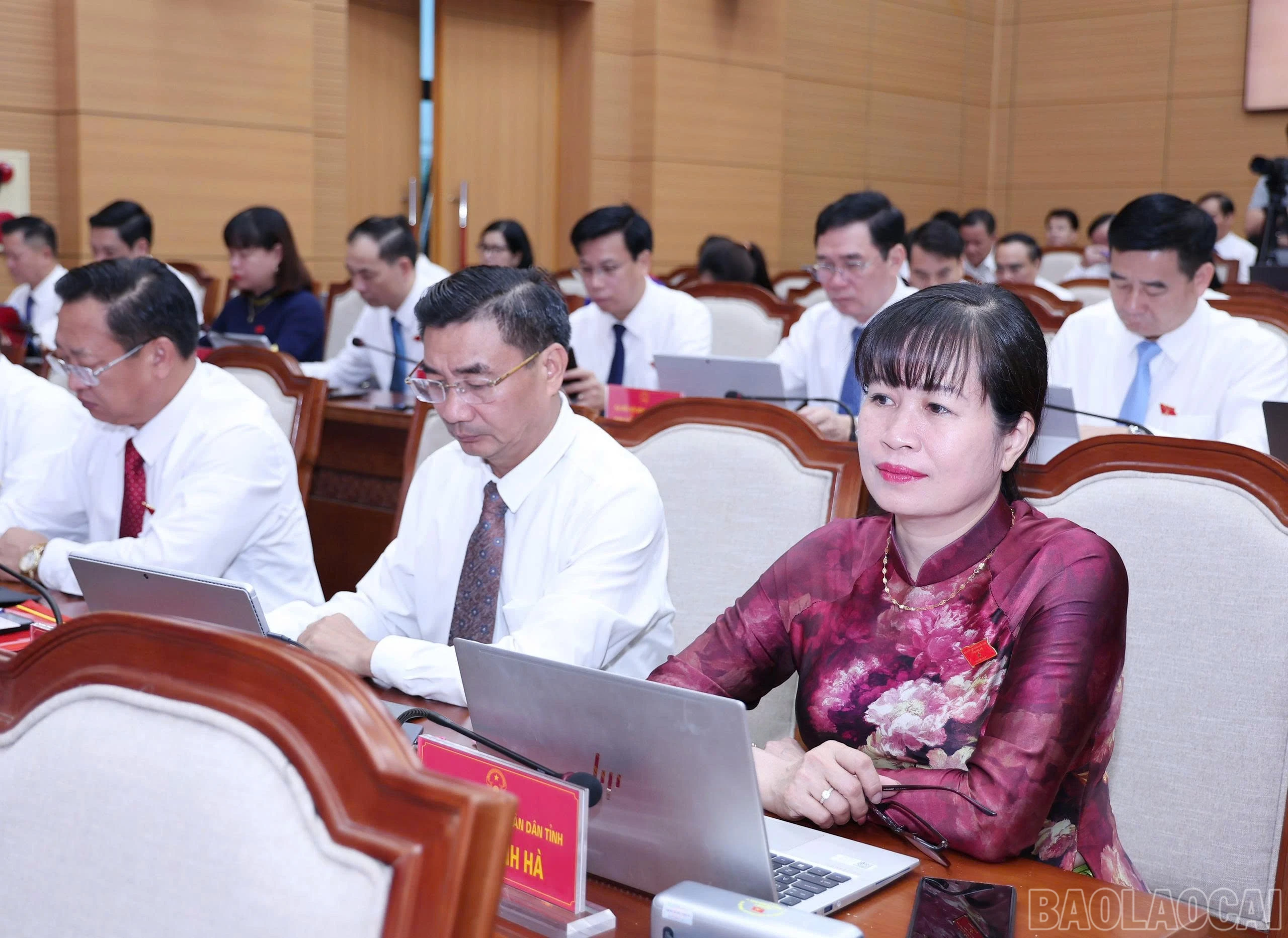 baolaocai-br_z7987267241965-9478a386f08853fa04cefbd2431db80c.jpg