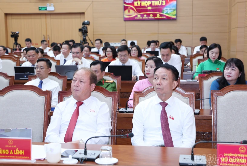 baolaocai-br-img-8786.png