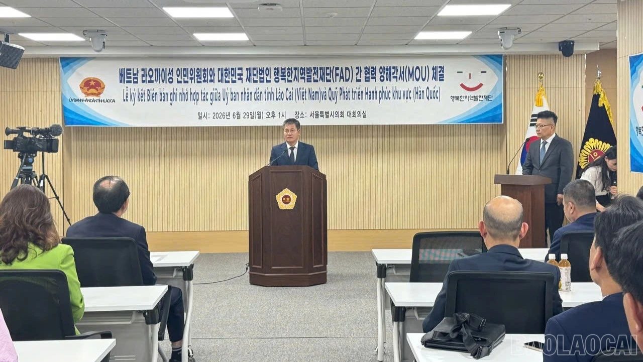 baolaocai-br-a6.jpg