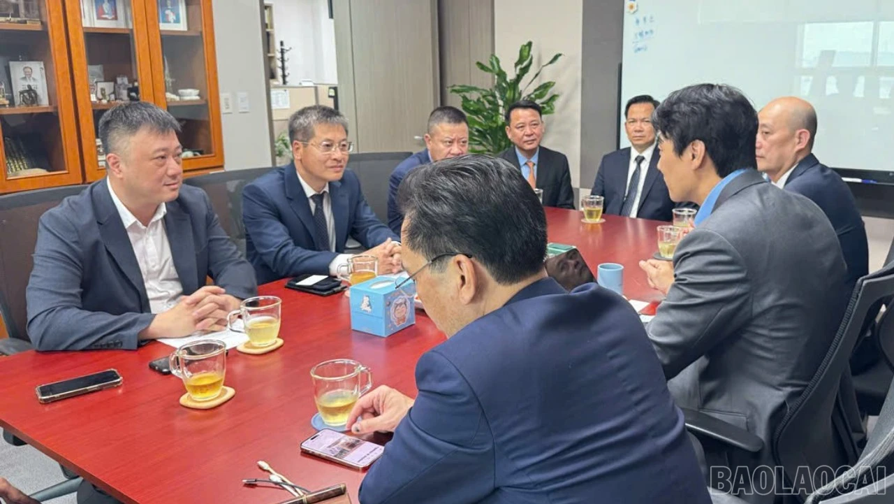 baolaocai-br-s3.jpg