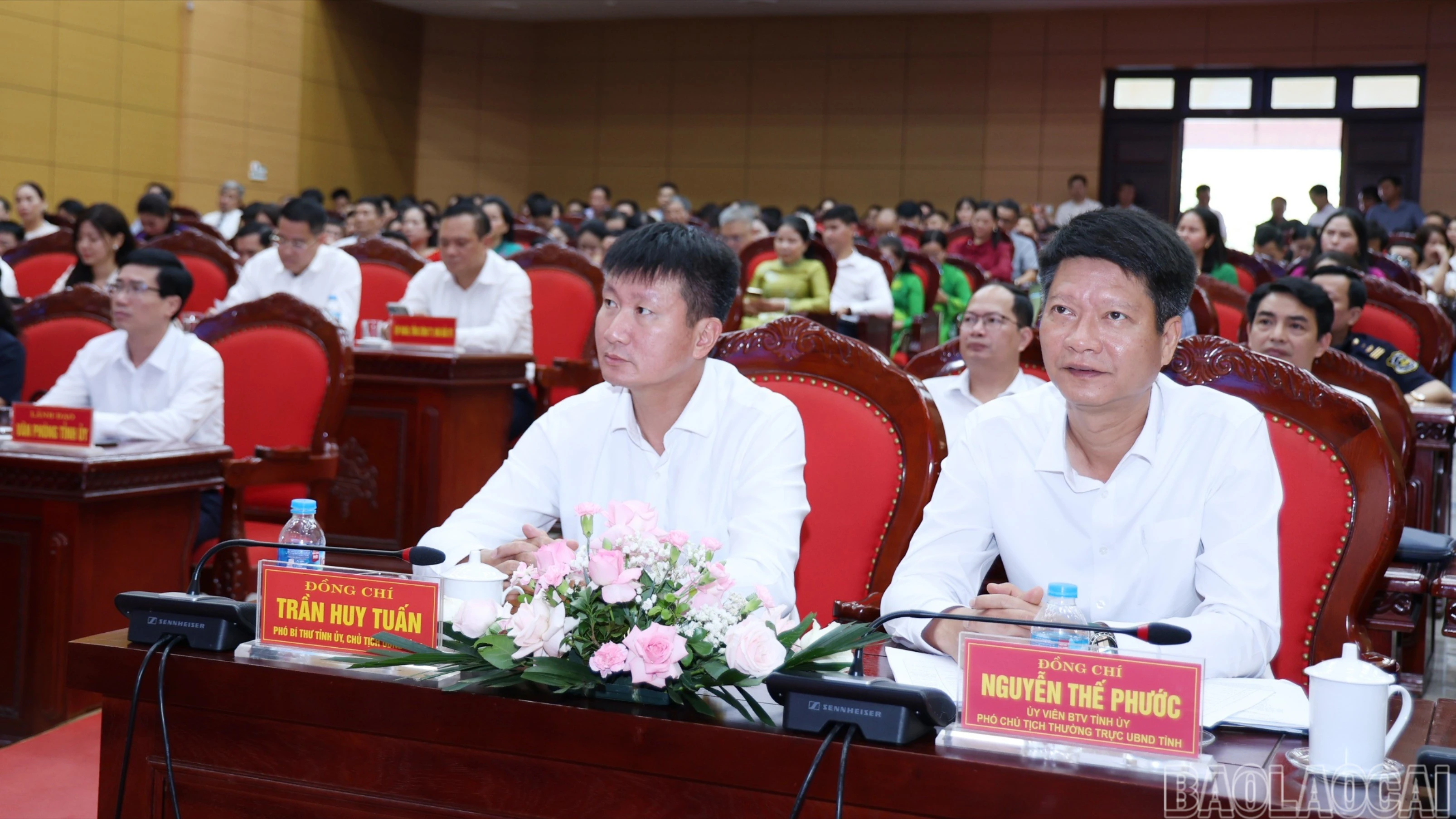 baolaocai-br-img-8381.jpg