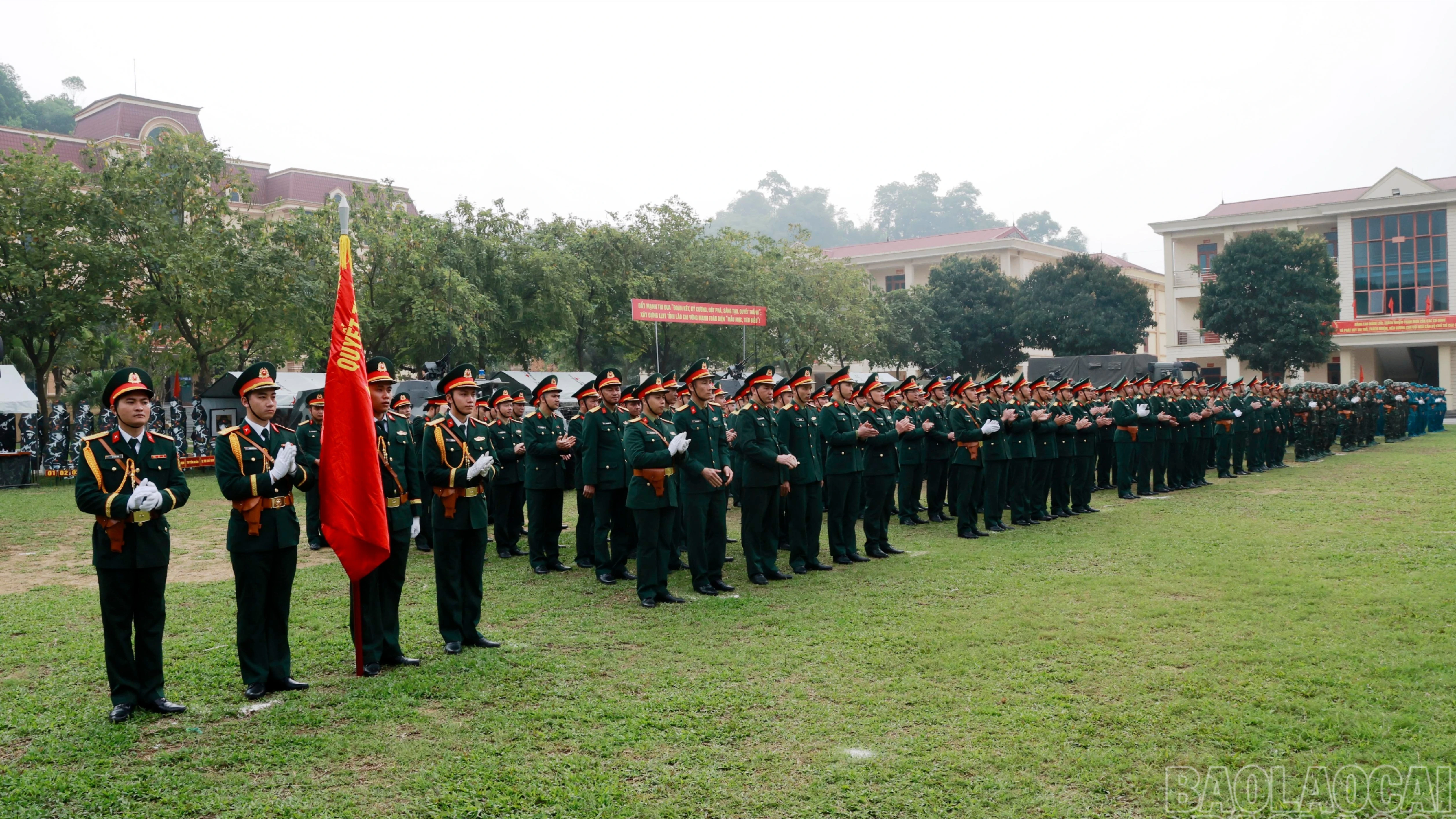 baolaocai-br-060a7143.jpg