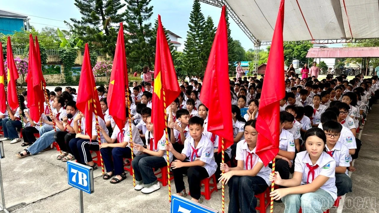 baolaocai-tr-1788567773747-2233525538719524409-8703897420327597324-9a7d5defd3f06ae41e3a2f1bdac35c98.jpg