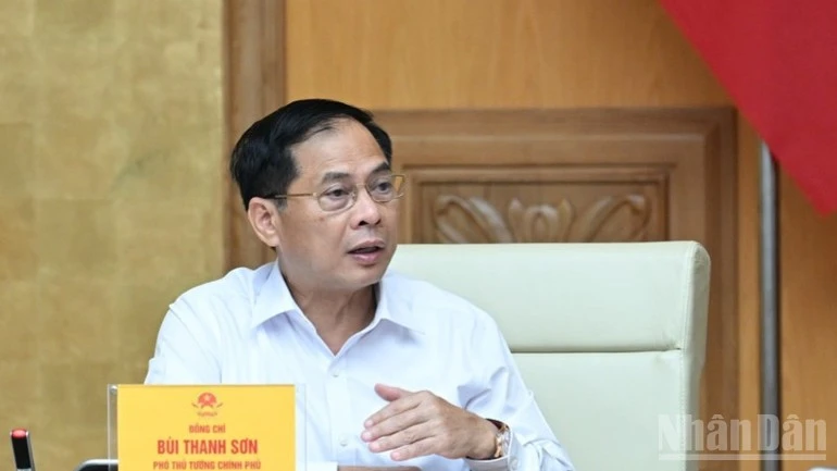 Phó Thủ tướng Bùi Thanh Sơn phát biểu ý kiến tại cuộc họp.