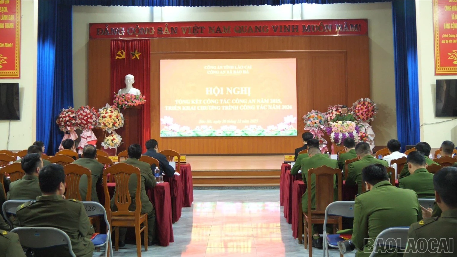 baolaocai-br_3.jpg
