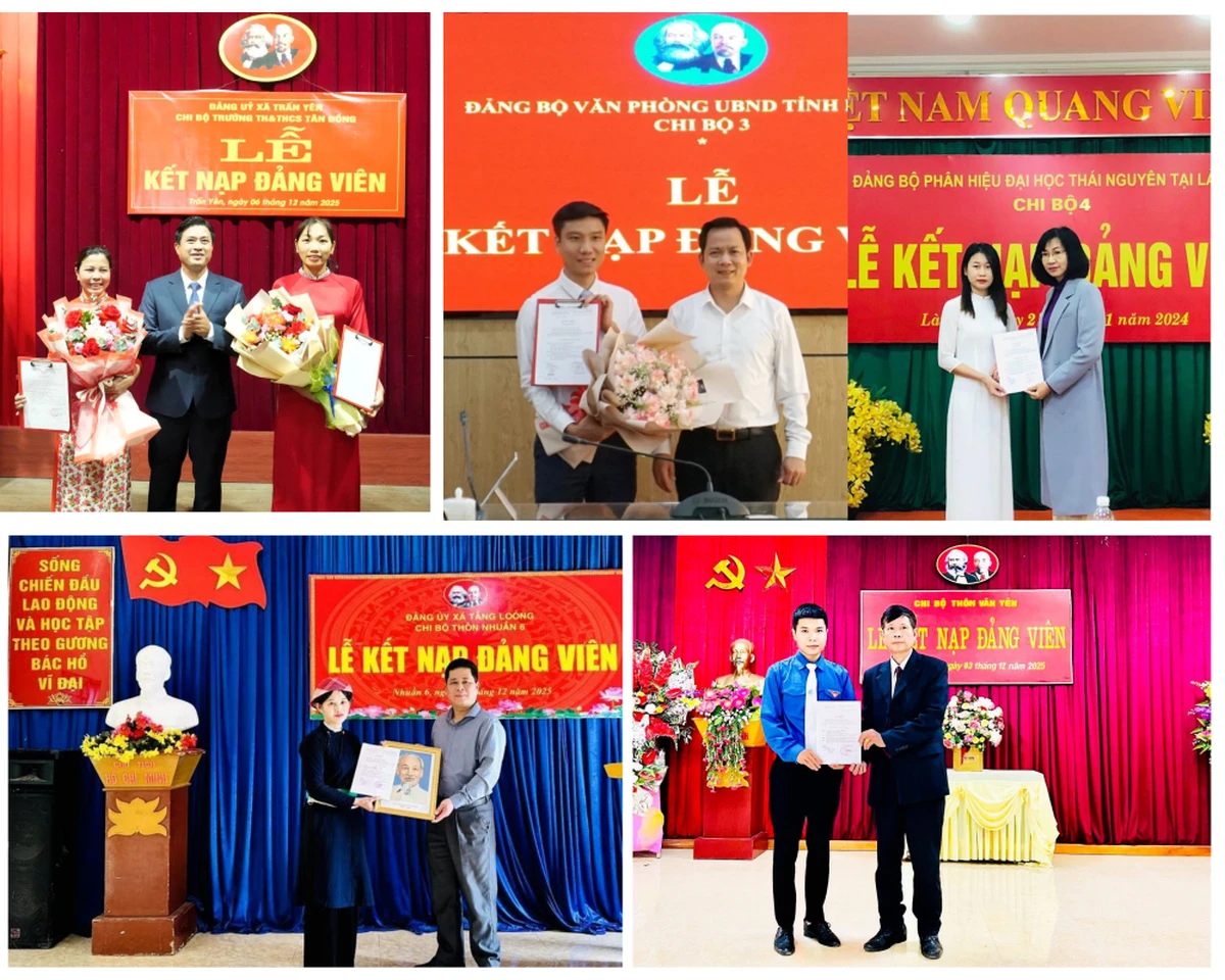 Tỉnh Lào Cai phấn đấu kết nạp 3.635 đảng viên trong năm 2026.