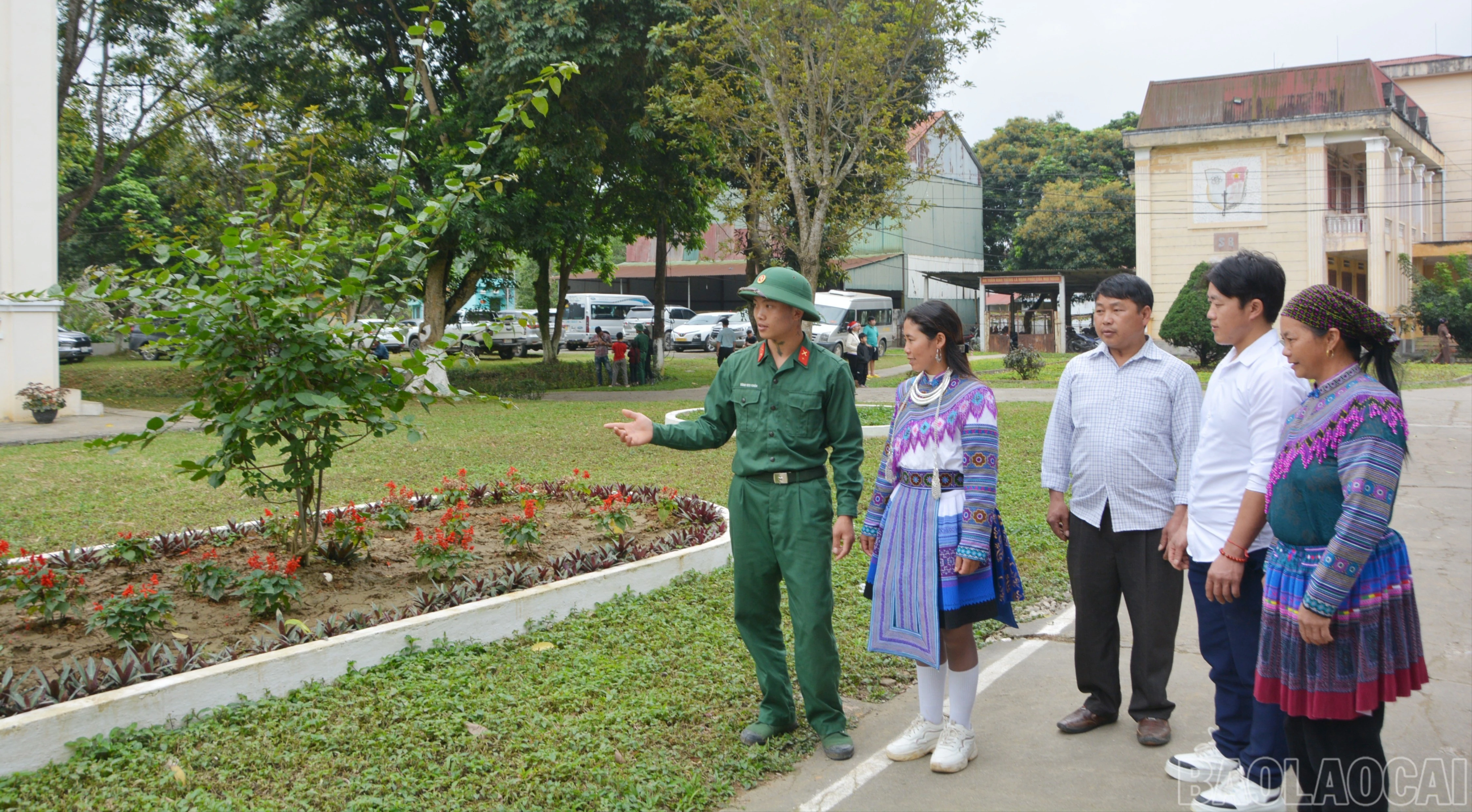 baolaocai-tl-dsc-2236.jpg