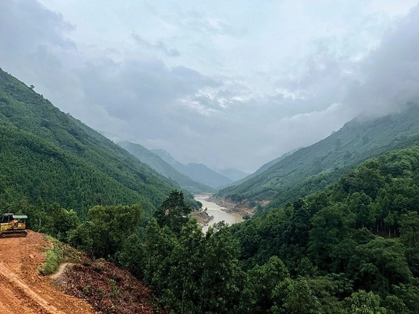 Xung quanh thôn Kho Vàng là những đồi quế, được cho là "kho vàng' mới của người dân.