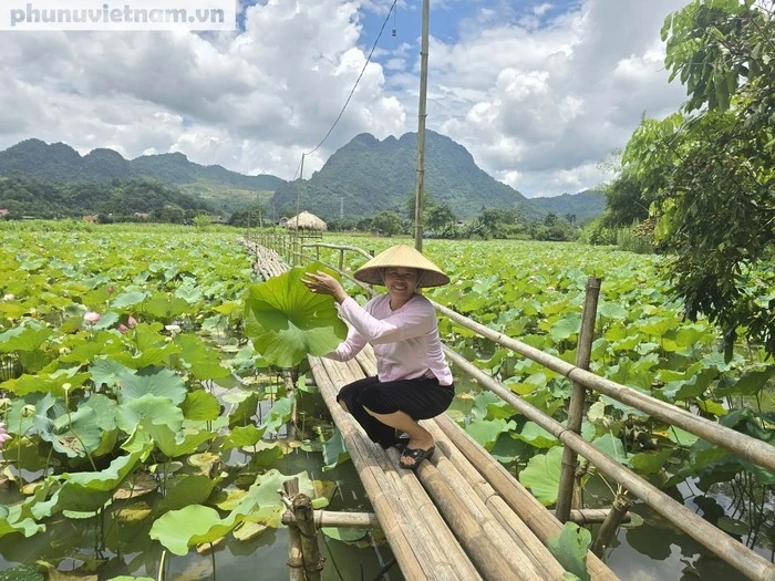 Đầm sen được bà Hoàng Thị Úc cải tạo cảnh quan để đón khách.