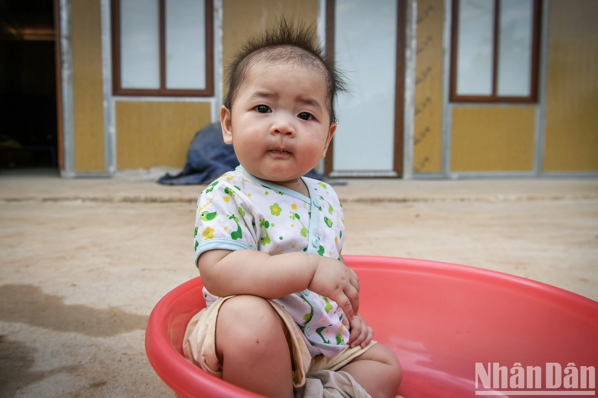 Ánh mắt ấy, dường như chưa ý thức được nỗi đau người lớn phải trải qua. Ánh mắt ấy, dường như chỉ có niềm hy vọng - niềm hy vọng vào tương lai đang nảy mầm phía trước từ chính những ngôi nhà vững chãi hôm nay...
