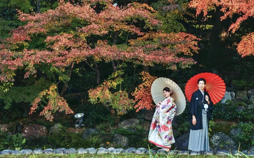Tới Nagoya, Nhật Bản vào mùa thu, khách du lịch được tư vấn ghé thăm Vườn Tokugawaen, để chiêm ngưỡng những cây phong và trắc bách diệp rực rỡ sắc màu đầy mê hoặc. Ảnh: tokugawaen.com
