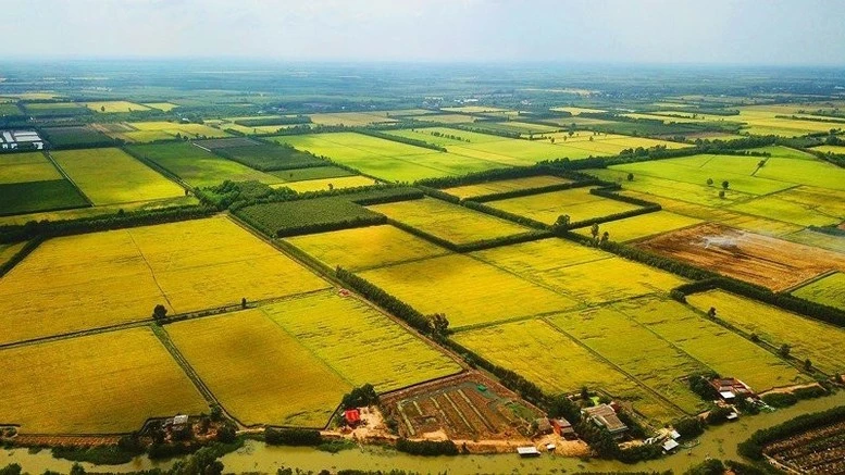 Bộ Tài chính đề xuất quy định hướng dẫn việc kéo dài thời hạn miễn thuế sử dụng đất nông nghiệp.