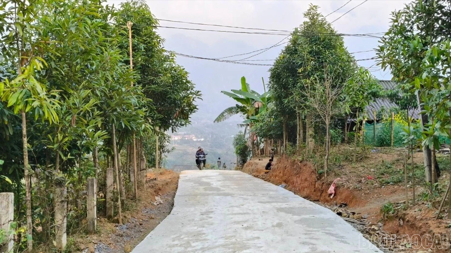 baolaocai-br-615398270-1403312658252536-7372080094694849479-n-2409.jpg