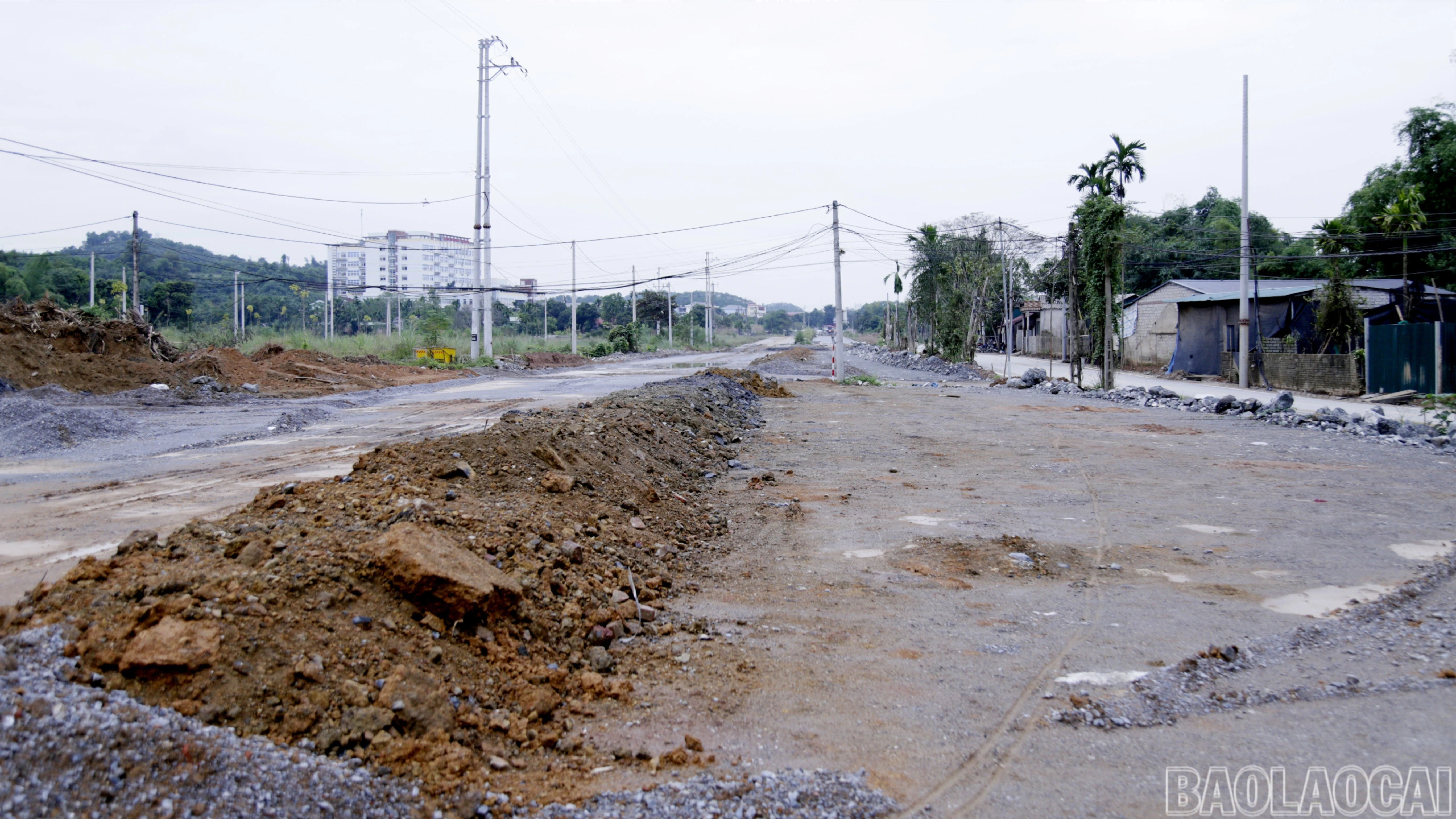 baolaocai-br-mg-0019.jpg