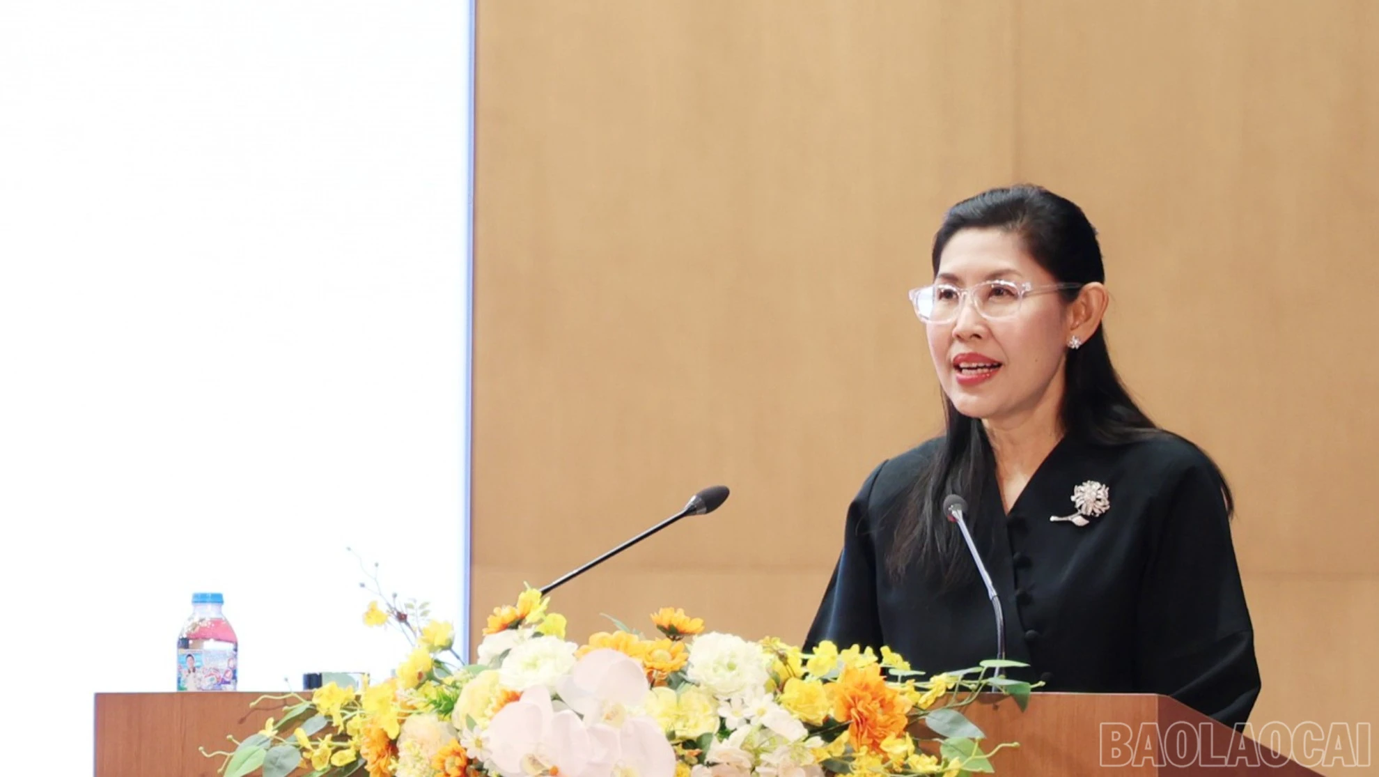 baolaocai-br_img-7233.jpg
