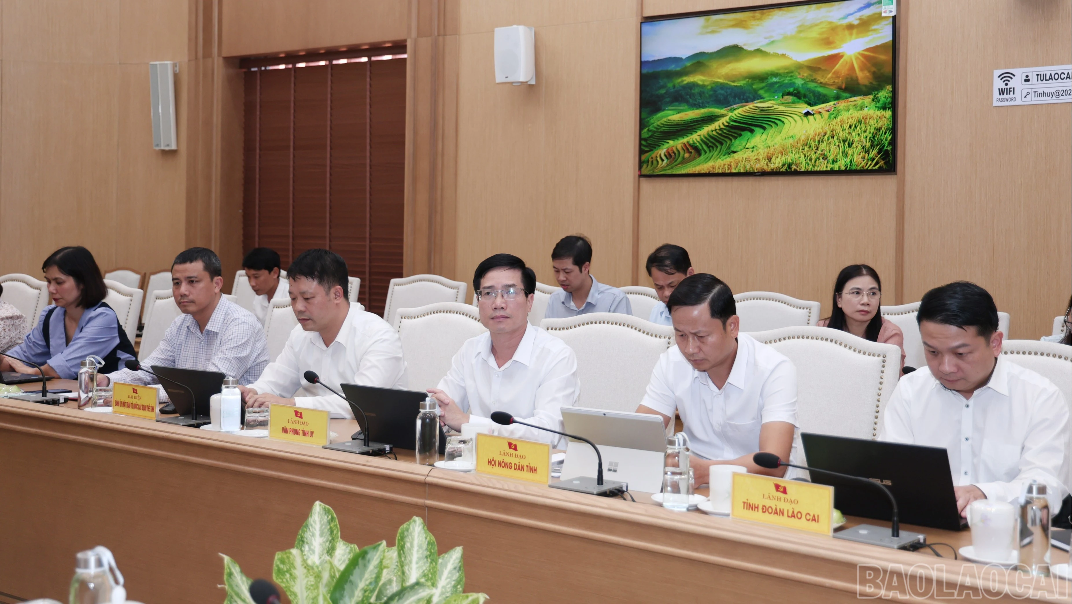 baolaocai-br_img-7199.jpg