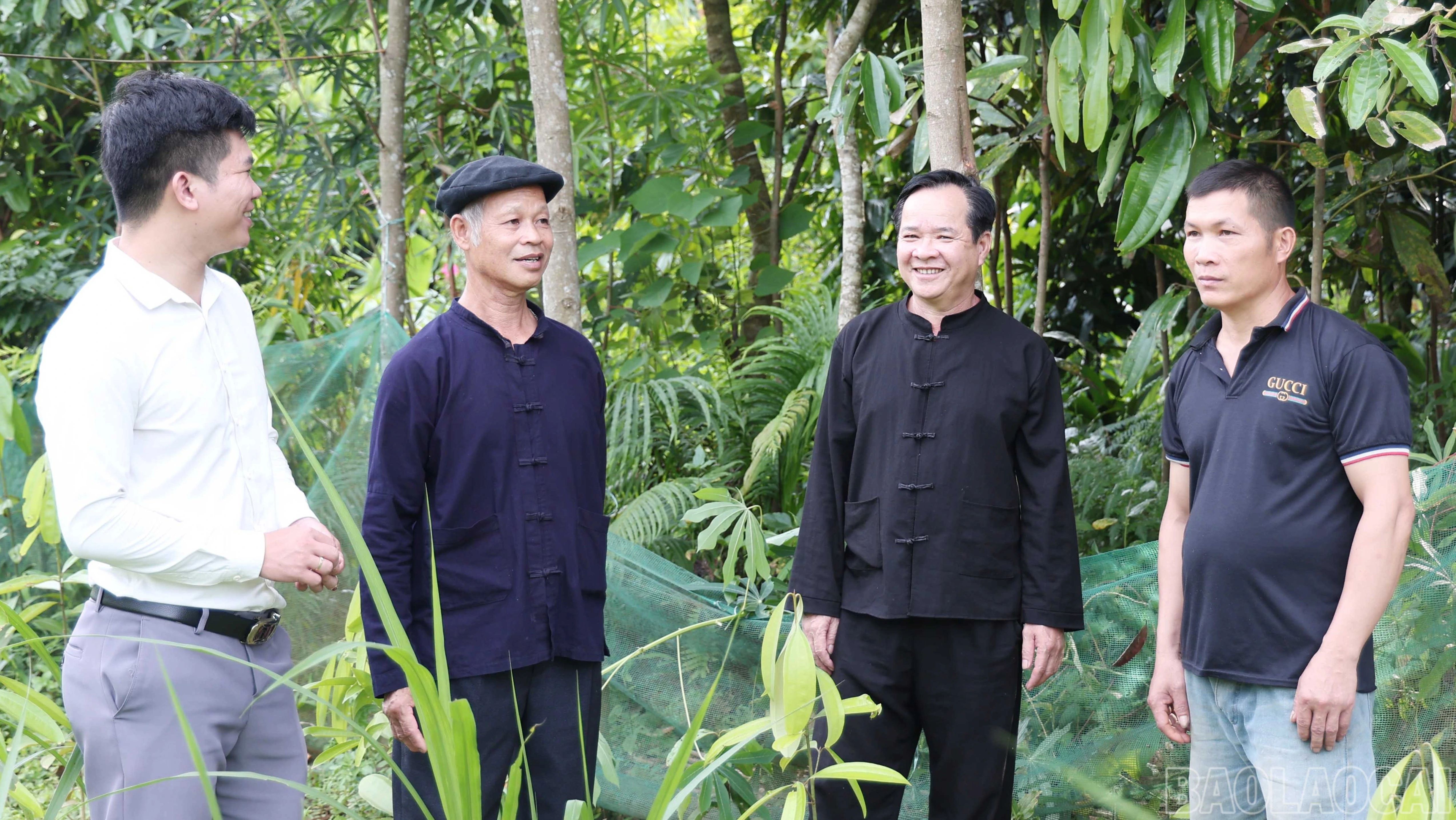 baolaocai-br_img.jpg