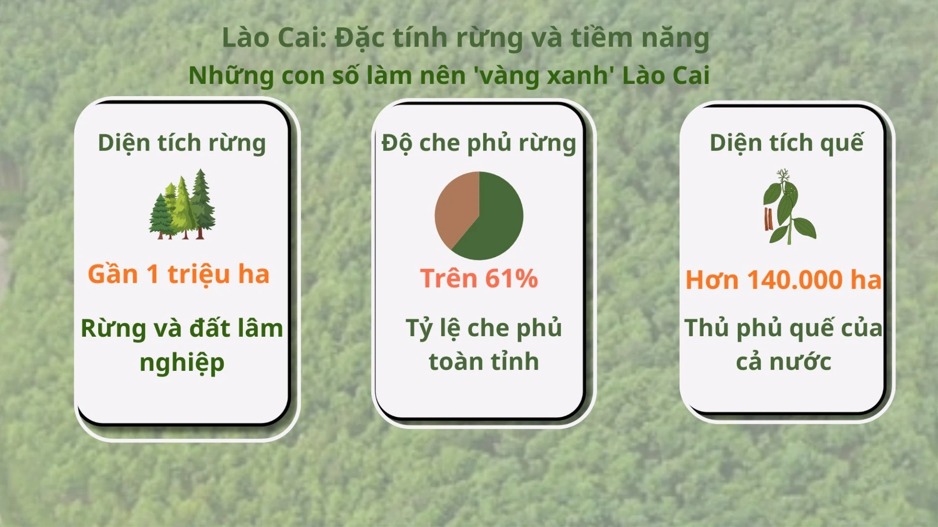 anh-1-dt-rung-7717.jpg