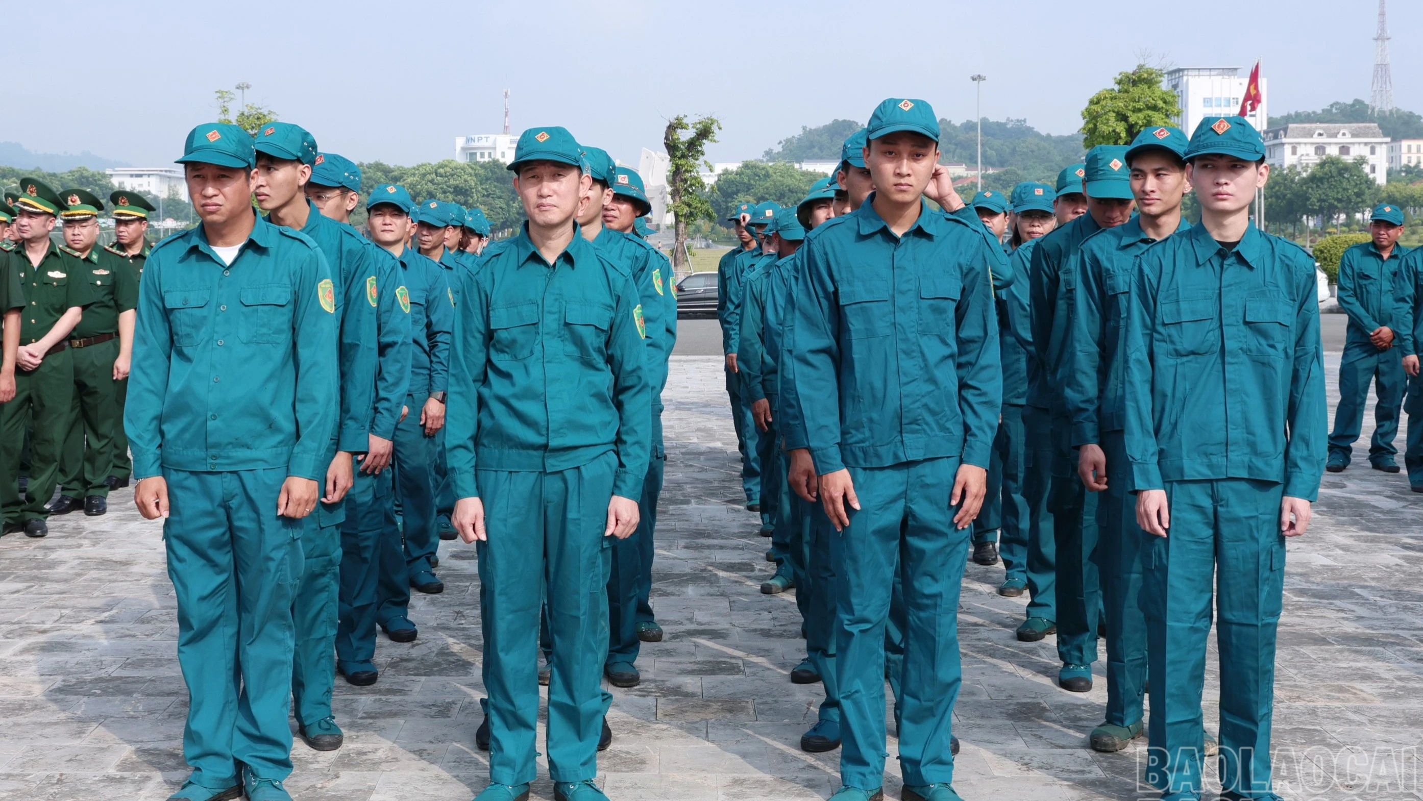 baolaocai-br-img-2338.jpg