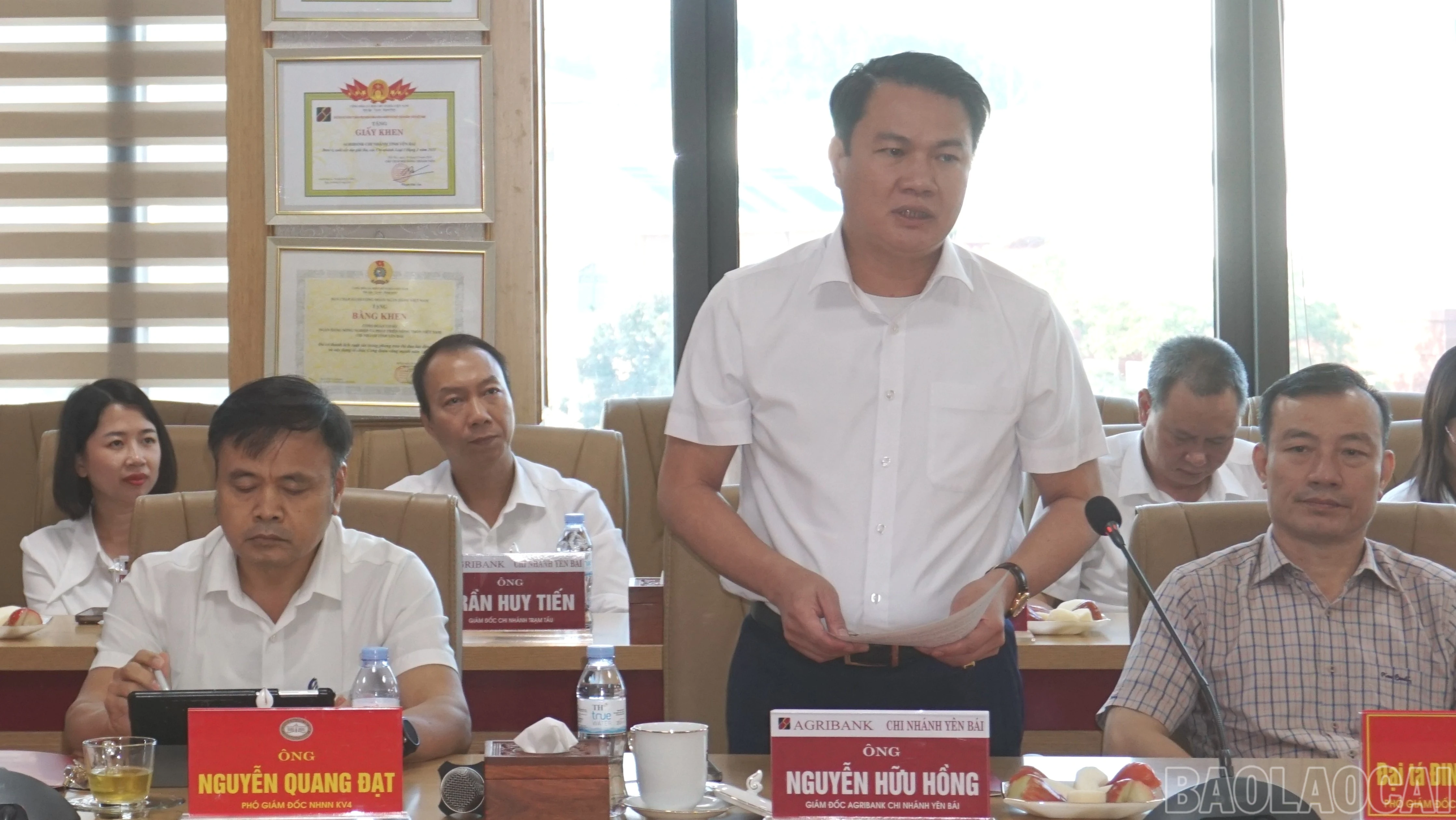 baolaocai-br-anh-hong.jpg