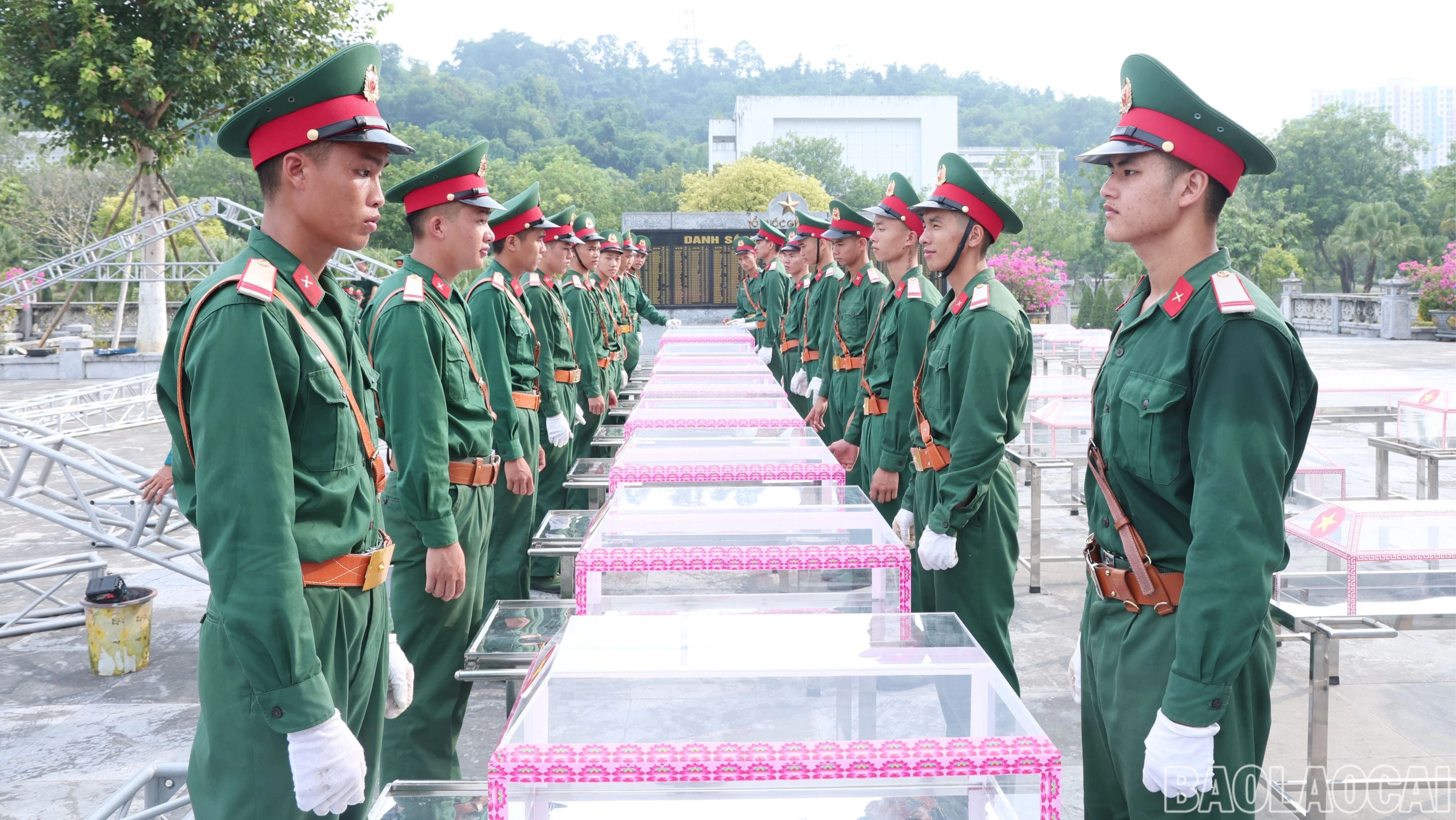 baolaocai-br-img-7897.jpg