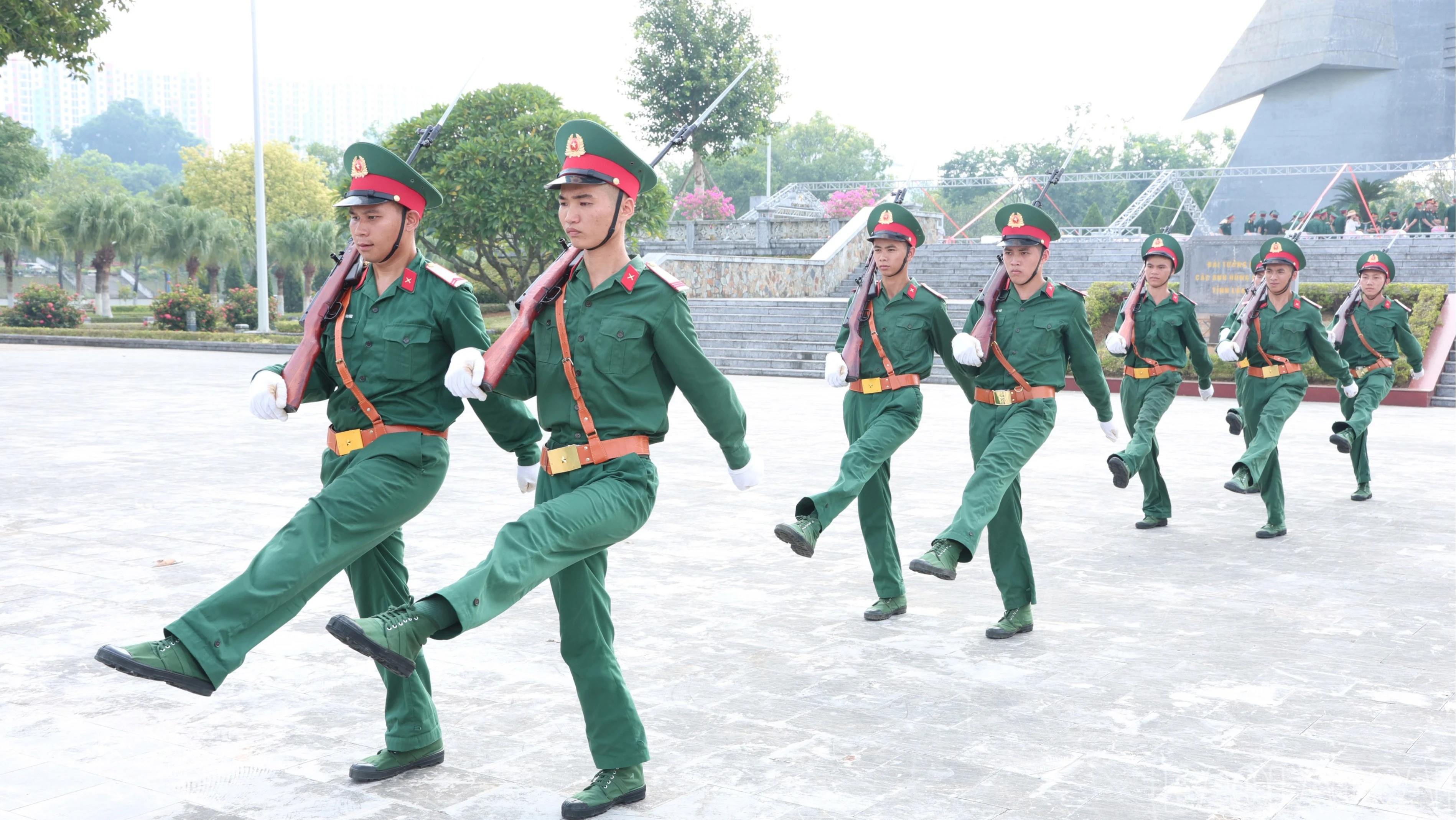 baolaocai-br-img-8347.jpg