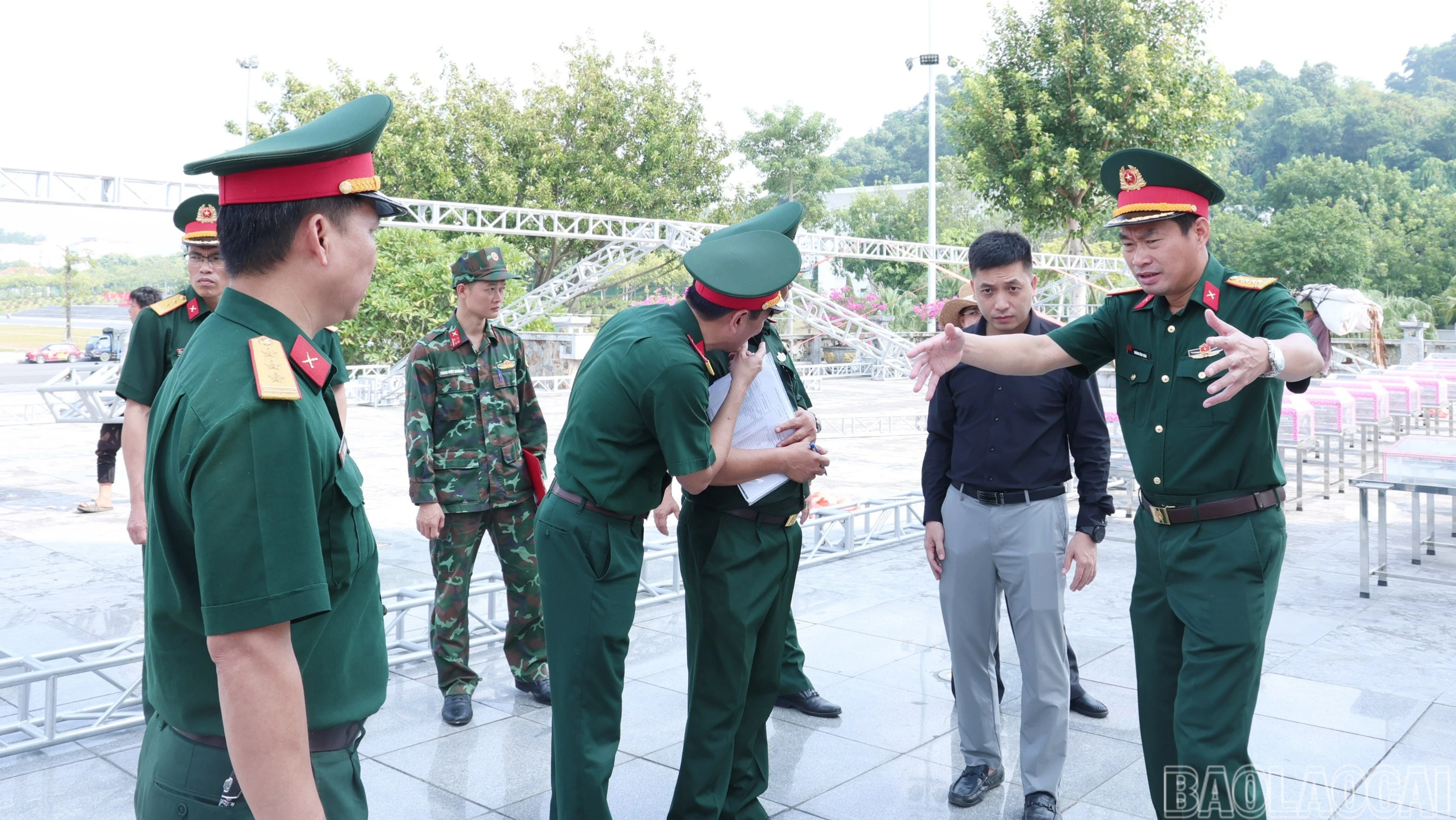 baolaocai-br-img-658.jpg