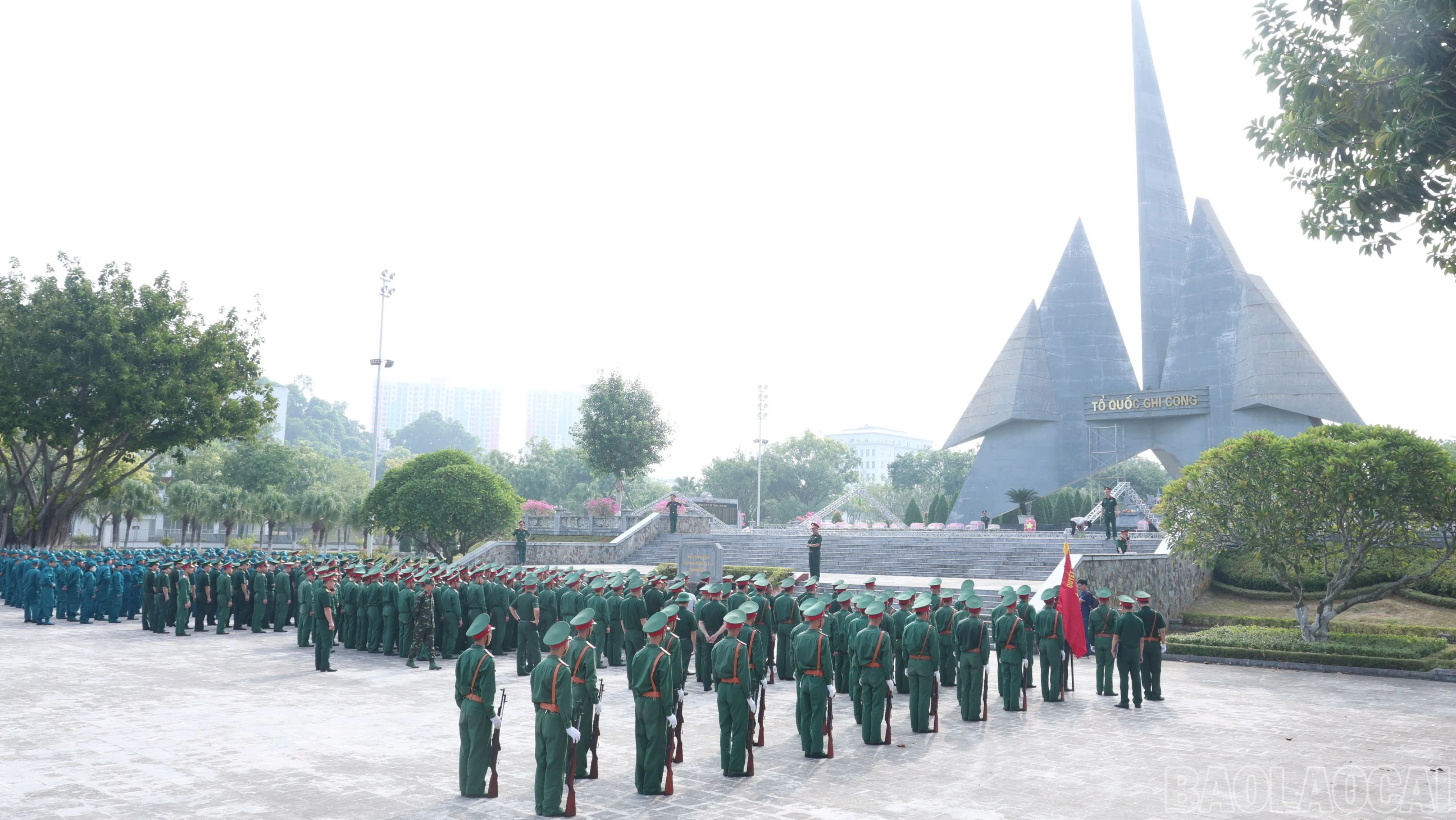baolaocai-br-img.jpg