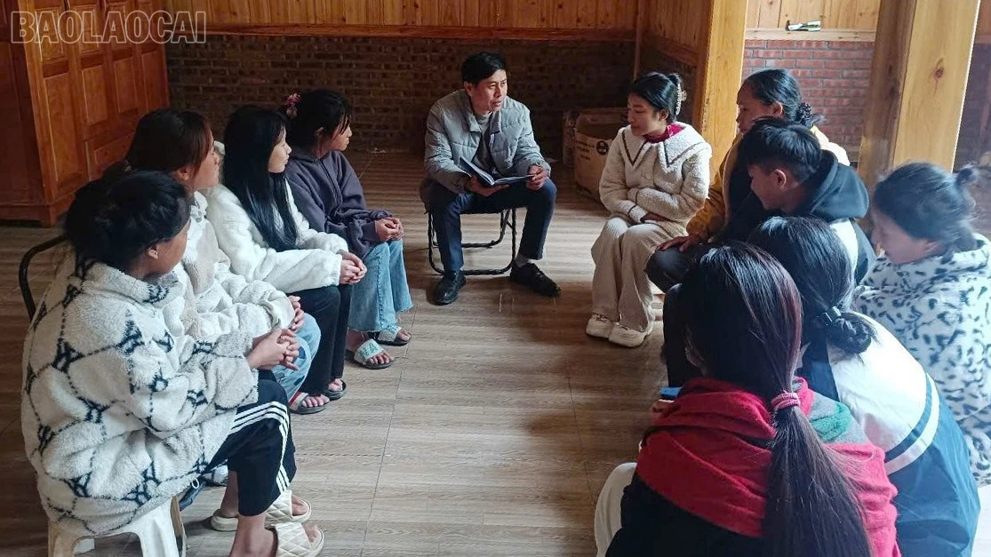 baolaocai-tl_image.jpg
