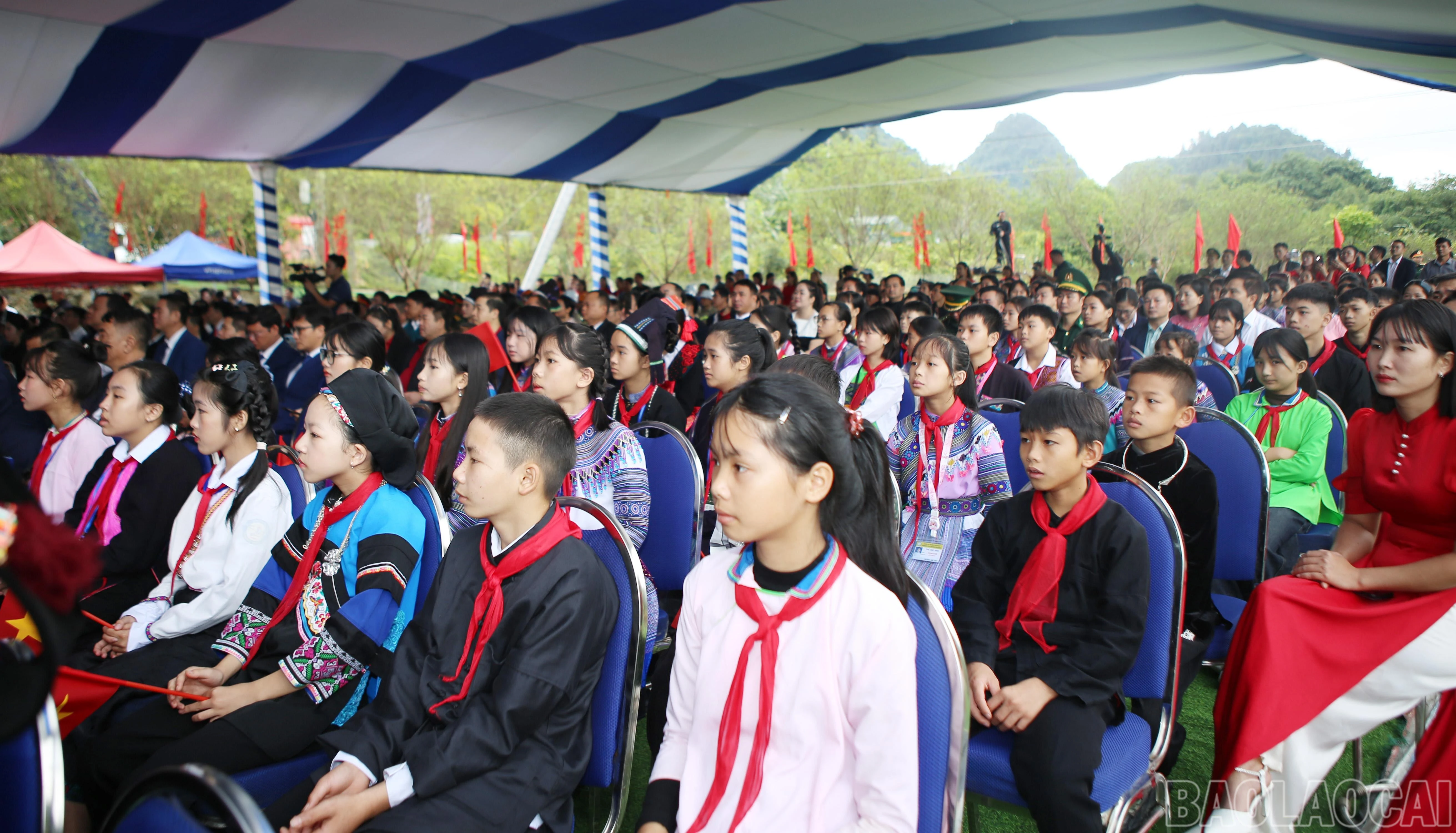 baolaocai-br_z7204796539727-a7f17b0bf69409ba5e23b432c7ae2dad.jpg