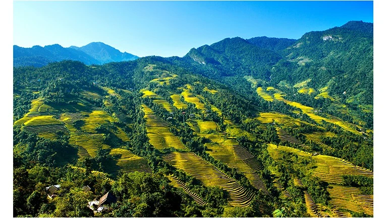 ruong-bac-thang-tung-lieng-xa-bat-xat-nhin-tu-thon-lao-vang-anh-tran-hau.jpg