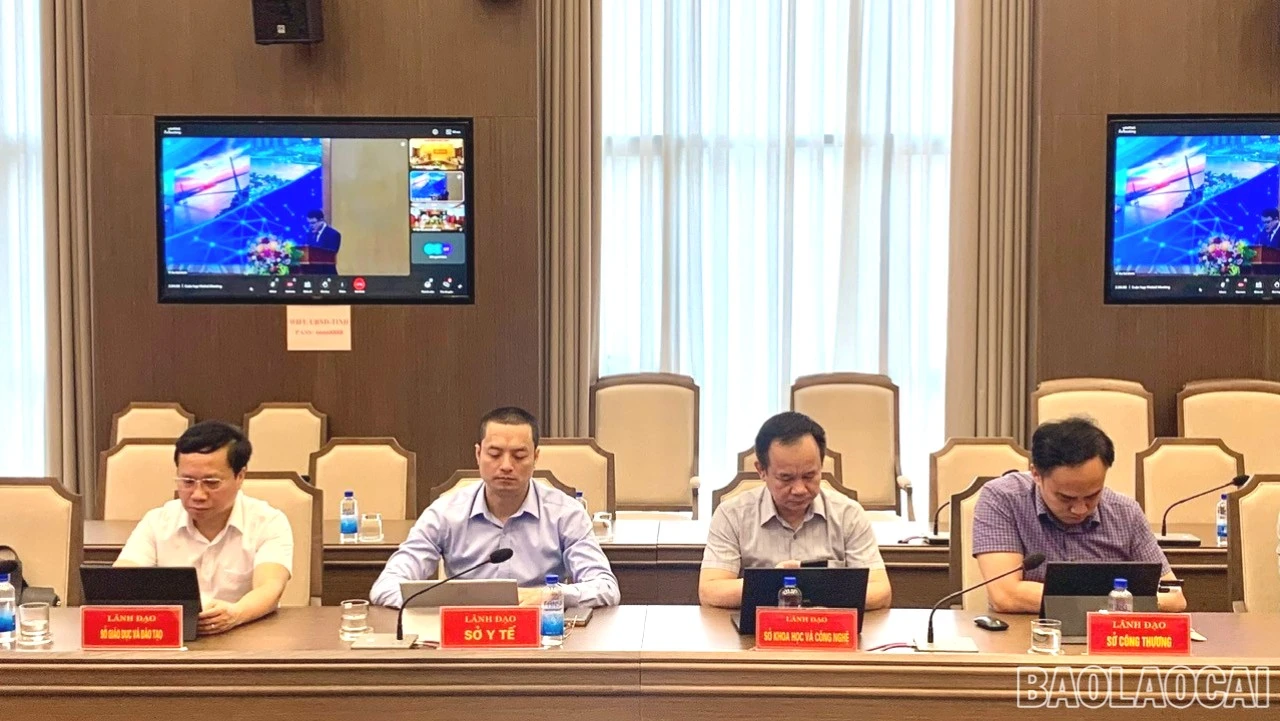 baolaocai-br-z7795532333696-9cd8c4c53c21eee199d96a184b3eb8de.jpg