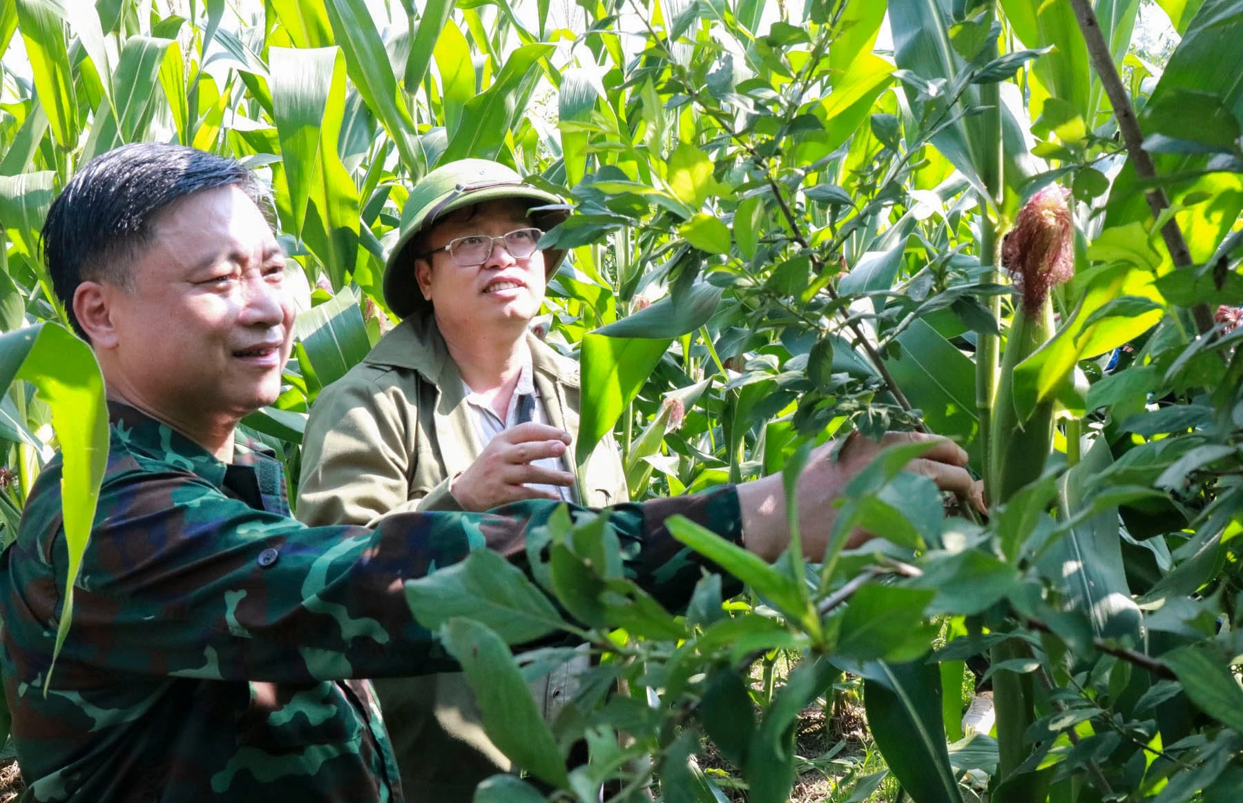 kiem-tra-mo-hinh-trong-man-thon-lao-sang.jpg