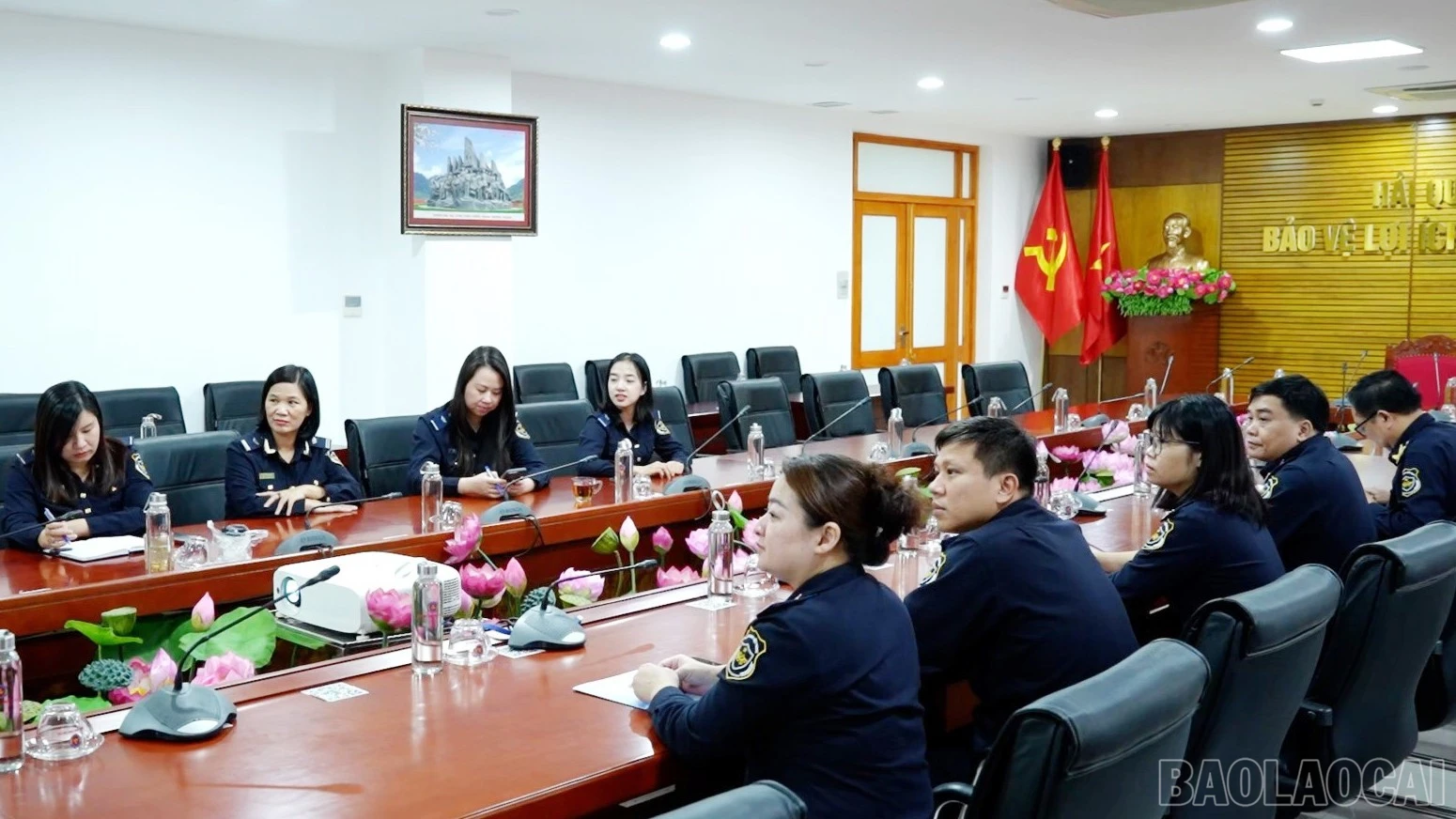 baolaocai-br_image-1-3913.jpg