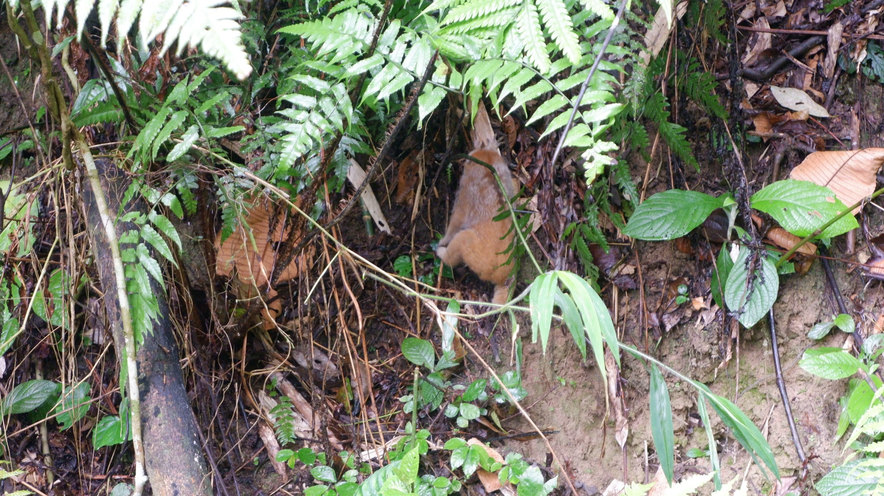 dscf2157.jpg